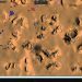 Hilly Madness! - Supreme Commander Forged Alliance
