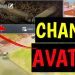 How To Change Profile Picture On Cod Mobile