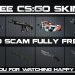 How To Get Free Counter-Strike: Global Offensive Weapon Skins