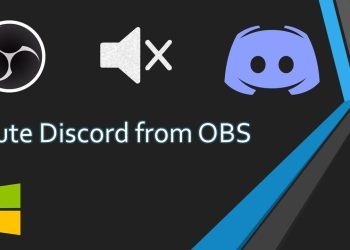 How to mute discord in OBS
