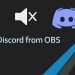How to mute discord in OBS