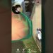 I let my team decide my trick shot
