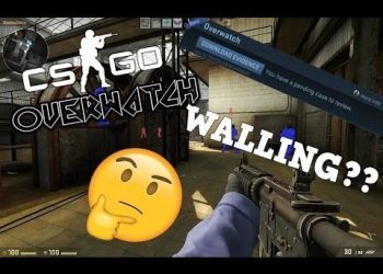 IS HE WALLING OR JUST BETTER?? | CSGO OVERWATCH