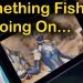 Is There Something Wrong With Mortal Kombat 11 on Switch?