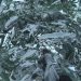 Let's Play Crysis: Warhead - Part 5