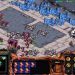 Let's Play Starcraft: Brood War - Part 27