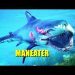 Maneater! - 12  Minutes of Gameplay (4K)  Ryzen 9 3900x - RX 5700 XT