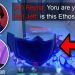 My Yoru Lineups Make People think I am Red & Ethos