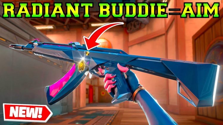 *New* RADIANT Buddie Gave Me +100 AiM Points - Valorant