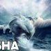 Nisha - Morphling - Dota 2 Pro Gameplay
