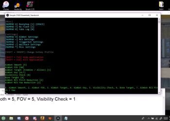 Novo Hack indectavel para csgo 2019 by Brasil Cheats