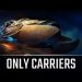 Only carriers l StarCraft 2: Legacy of the Void Ladder l Crank