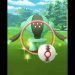 PokemonGO Shiny Compilation #5