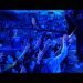 Power of E-Sport - LukeYee