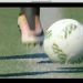 REMOTE FIFA 2017