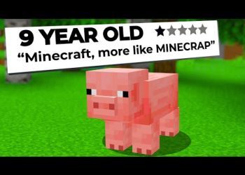 Reading some 1 STAR Minecraft Reviews...