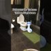 Real reason why Pokemon Go trainers take so long in the bathroom