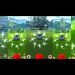Shiny Trubbish Is Not Garbage! - Pokemon GO Shiny Compilation #253