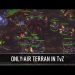 StarCraft 2: Only air Terran in TvZ