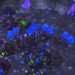 Starcraft 2 tilt shift