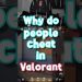 THERE'S CHEATERS IN VALORANT?! | #shorts