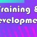 TRAINING & DEVELOPMENT FEATURES - FIFA 21 Career Mode What the