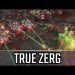 TRUE Zerg l StarCraft 2: Legacy of the Void Ladder l Crank