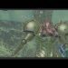 Thardus throws a stone to Samus. Scene . Metroid Prime