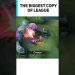 The Game That Copied League of Legends And Succeeded - Mobile Legends