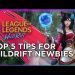 Top 5 Tips Wild Rift Newbies Should Know | Liyab Esports