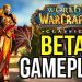 WORLDS FIRST CLASSIC WOW BETA FOOTAGE! RELEASE DATE CONFIRMED! PVP, DUNGEONS, LEVELING