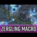 Zergling macro l StarCraft 2: Legacy of the Void Ladder l Crank