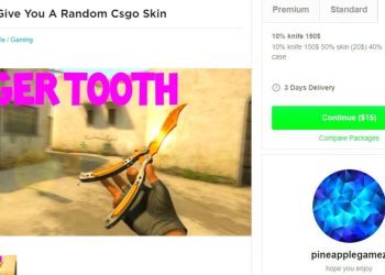 i BOUGHT a mystery cs:go skin on fiverr for $10 (this ACTUALLY shocked me..)
