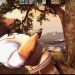 #024 Counter strike Global Offensive - Gameplay free to use 16:9 60fps-HD