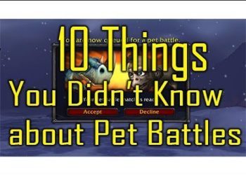 10 Things you Probably Didn't Know about Pet Battles