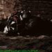 Alien Shooter 2: Reloaded. Walkthrough. Part 17. Final