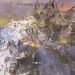 Apex legends