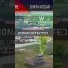 BLEND WITH NATURE, HOW TO BE A GRASS IN APEX LEGENDS RANKED! #short