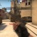 BREAKING DISCORD! - Counter-Strike: Global Offensive