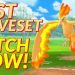 Best moveset MOLTRES|| how to get moltres|| moltres Raid|| Pokemon go