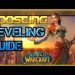 Boosting & Fast Levelling Guide [Relaxing WoW Classic]