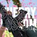 Cherry blossoms | Valorant Montage