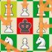 Child prodigy CallMeKevin (27) becomes a grandmaster at chess