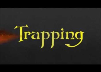 Classic WoW Hunter Mechanics: Pet Control, Feign Death, Trapping