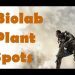CoD Advanced Warfare Competitive Tips and Tricks: INSANE Biolab Plant Spots / Lines of Sight! –  CallofDuty CoD eSports