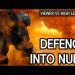 Defense into Nuke! Ghost play in TvP l StarCraft 2: Legacy of the Void l Crank