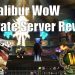 Excalibur WoW Private Server Review 2.4.3