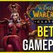 FIRST WOW CLASSIC BETA PROTECTION PALADIN TANKING FOOTAGE & COMMENTARY (SM: LIBRARY)