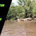 GIANT Ethiopian Crocodile On Safari #FortniteTOM