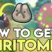 HOW TO SPIRITOMB in Pokemon Brilliant Diamond and Shining Pearl